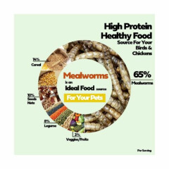 Dried Mealworms-2 LBS-100% Natural Non GMO High Protein Mealworms for Chicken...