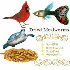 Dried Mealworms Non-GMO Natural Food for Wild Birds Chickens 10OZ/ 11/22/44 LBS