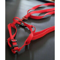 Adjustable Size Cat Harness and Leash
