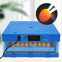 64Egg Incubator Digital Automatic Turner Hatcher Chicken Egg Temperature Control
