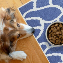 Ultra-Thin Cat and Dog Litter Mat for Litter Box - Feeding Mat - Pet Mat