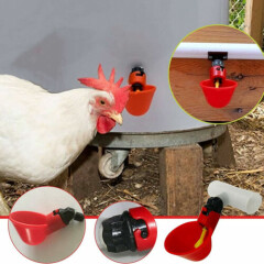 Removable Automatic Chicken Water Dispenser Feeder Poultry Cups Water Dispenser