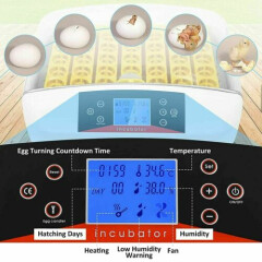 41 Eggs Incubator Digital Automatic Hatcher Turn Bird Chicken w/LED Display USA