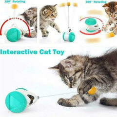 Tumbler Swing Toys for Cats Interactive Balance Car Cat Chasing Toy With Catnip