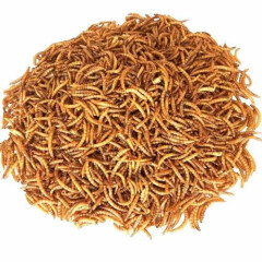 11lbs Non-GMO Dried Mealworms for Birds Chickens Hamster Fish Reptile Turtles