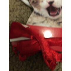 Holiday Christmas Cat Hat And Scarf/ Snowman/one Size Fits Only/ 1102