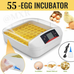 Digital Chicken 55 Eggs Incubator Hatcher Temperature Control Automatic Turning