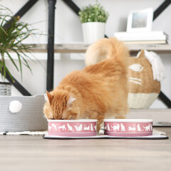 DII Pet Bowl Cats Meow Rose Large 7.5Dx2.4H (Set of 2)