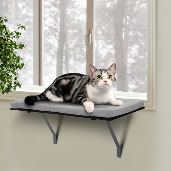 Cat Perch Window Mounted Shelf Bed with Velvet Cushion for Rest image {1}