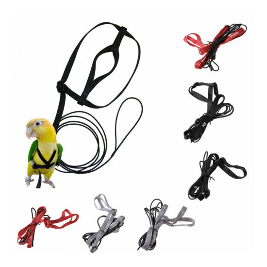 1PCS Adjustable Training Rope Parrot Strap Flying Parrot Leash Bird Harness image {1}