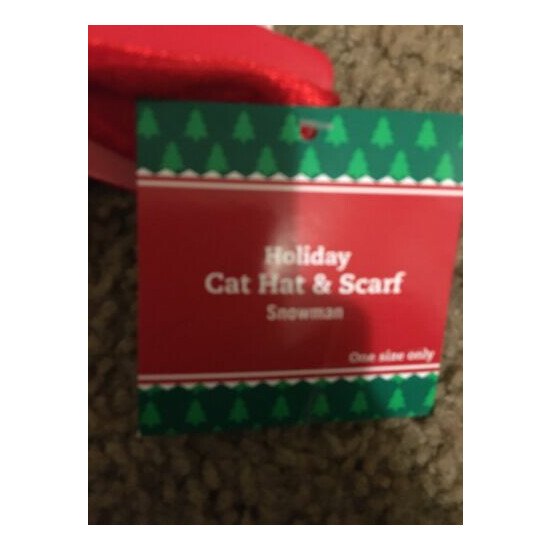 Holiday Christmas Cat Hat And Scarf/ Snowman/one Size Fits Only/ 1102 image {2}