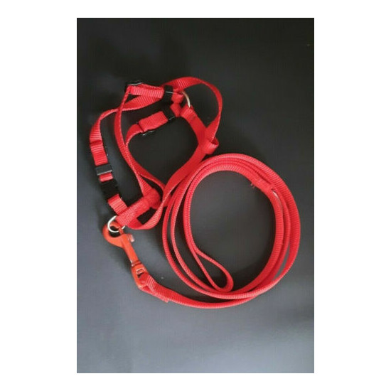 Adjustable Size Cat Harness and Leash image {1}