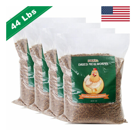 44lbs Non-GMO Dried Mealworms for Birds Chickens Hamster Fish Reptile Turtles US image {1}