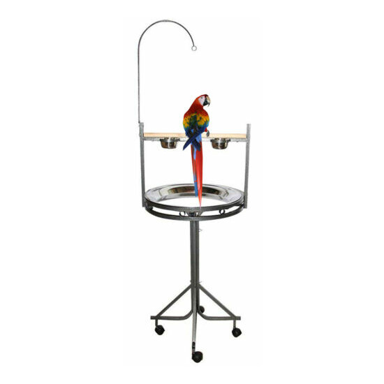 Elegant Parrot Playstand With Perch Stainless Steel Tray Toy Hook Stainless Cup  image {1}