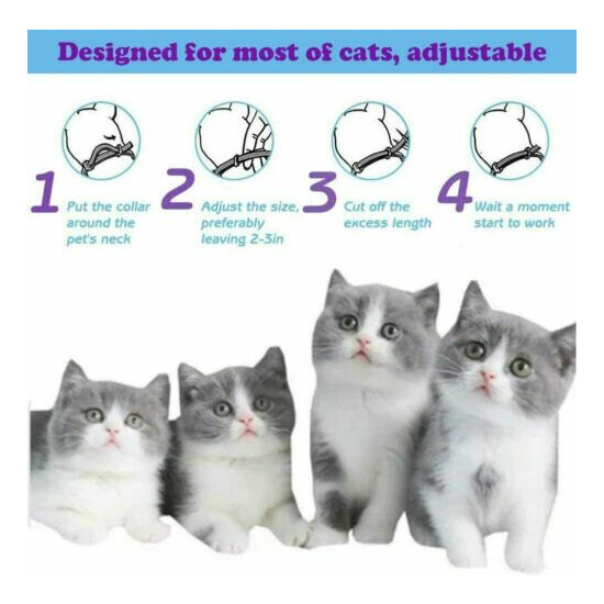 LUPUS 3 Pack Calming Collar for Cats, Cat Calming Collars, Natural Cat image {5}