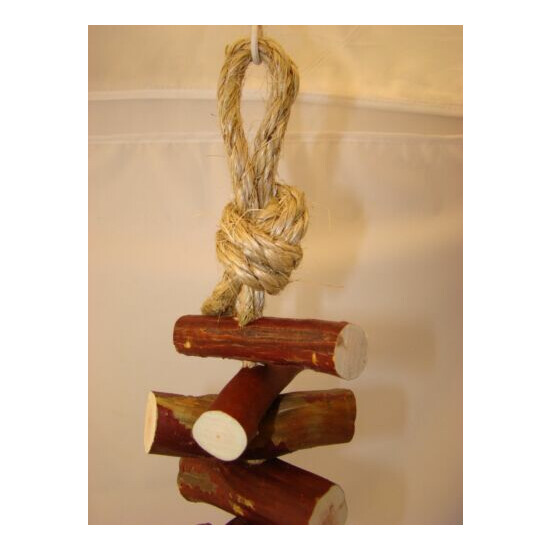Manzanita Bird Toy * Hardwood Toy 2 Feet long 25 Pieces of Manzanita Wood FUN! image {2}
