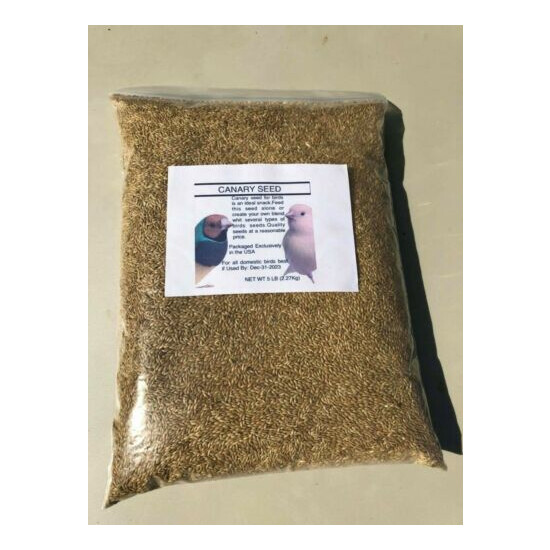 Alpiste Canary Seed 5 Lbs. -Clean and Fresh  image {1}