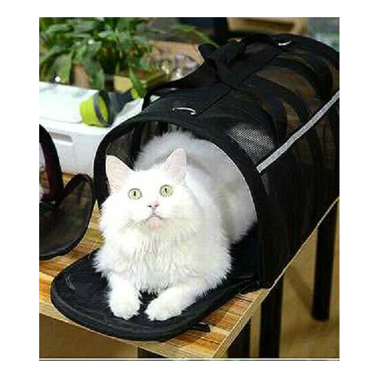 Perfect Blue Pet Carrier Travel Breathable Mesh Cat Dog Foldable Transport Case image {3}