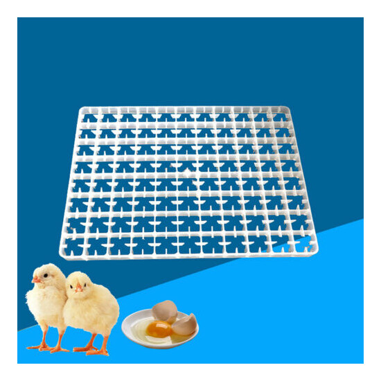 5*8 Egg Tray Chick Incubator Universal Durable Plastic Poultry Incubator Trays image {3}