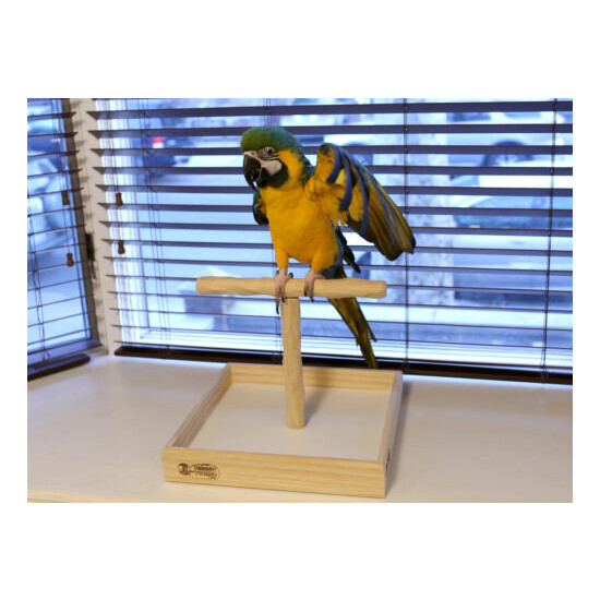 Deluxe Tabletop NU Perch - Large Tabletop Perch Stand for Macaws and Big Parrots image {5}
