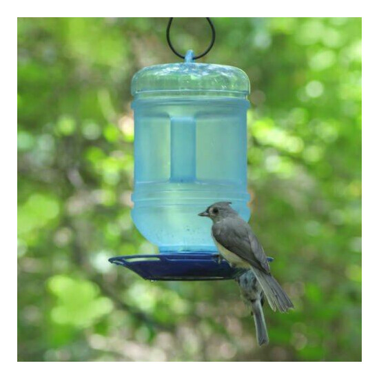 Bird Water Bottle Feeder Wild For Birds Variety Drink Hanging - New image {2}