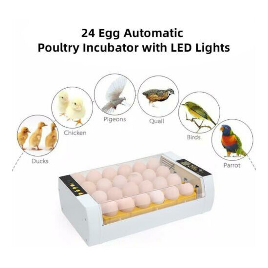 LED Light 24 Eggs Incubator Hatcher Fully Automatic Turning Temperature Control image {3}