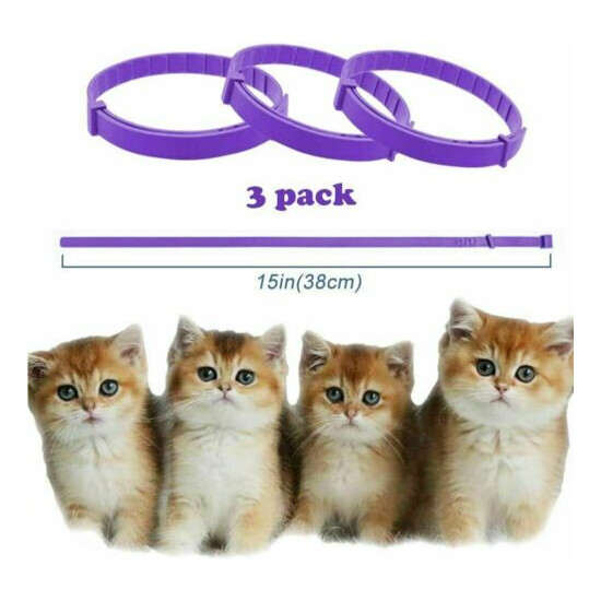 LUPUS 3 Pack Calming Collar for Cats, Cat Calming Collars, Natural Cat image {3}
