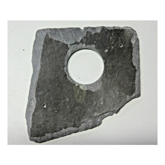 Bird nest box hole protector plate Welsh Slate 25 or 32 mm  image {4}
