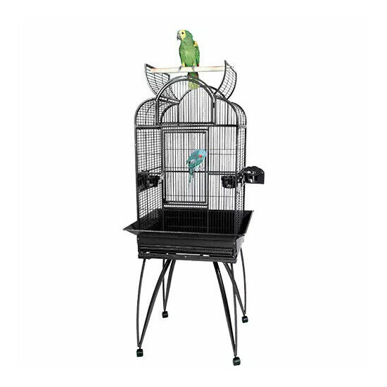 King's Cages SLT4 2217 Small Parrot Bird Cage 22X17X63 Toys Cockatiel Budgies image {2}