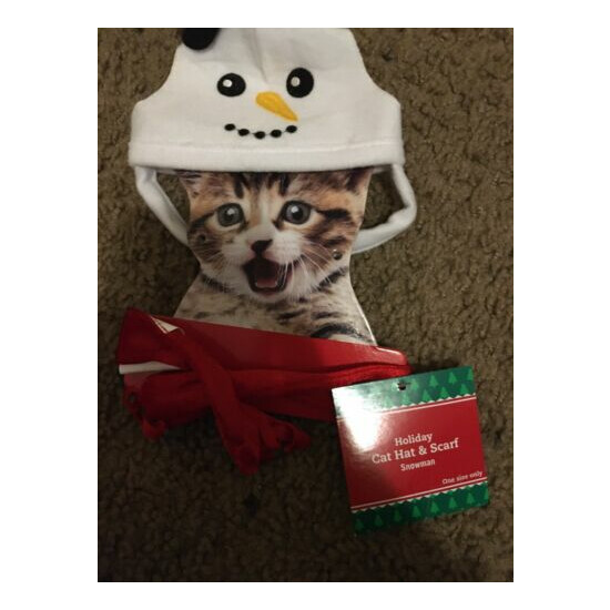 Holiday Christmas Cat Hat And Scarf/ Snowman/one Size Fits Only/ 1102 image {1}