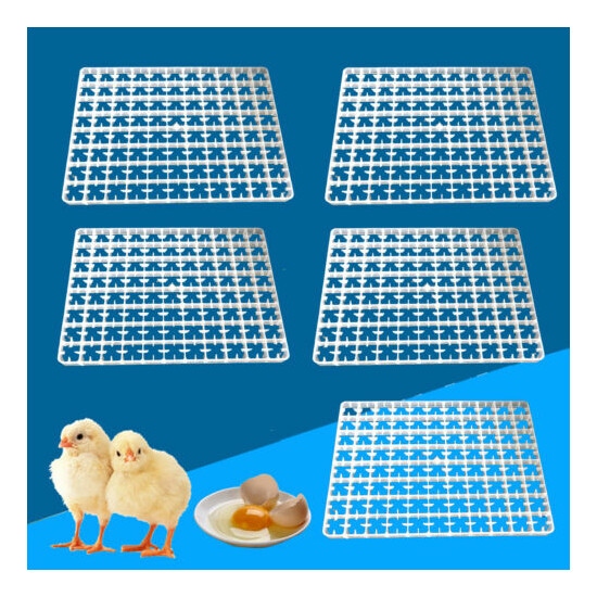 5pc 88-CHICKEN EGGS TRAY FOR DUCK Chicken POULTRY EGG INCUBATOR MACHINE US image {1}
