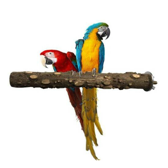 Lovely Pet Parrot Bird Toy Wood Standing Stick Perching Portable Pet Product YS image {3}