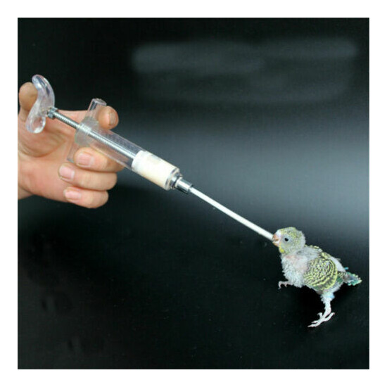 Baby Bird Budgie Parrot Pet Hand Rearing Feeding Syringe Crop Tubes 10/20ml image {1}