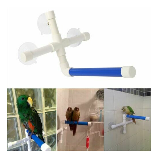 Parrot Folding Bath Shower Standing Platform Rack Perch Wall Suction Cup Pet Toy image {3}