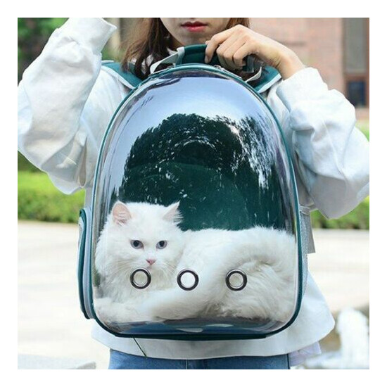 Pet Bag Breathable Carry Dog Bag Portable Transparent Pet Backpack Cat Rusksack image {1}