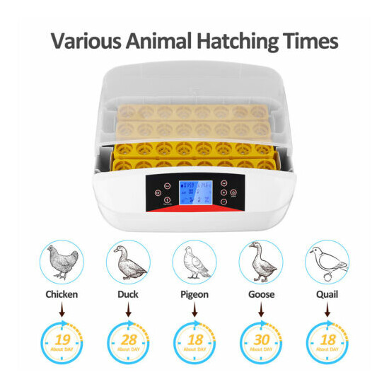 41 Eggs Incubator Digital Automatic Hatcher Turn Bird Chicken w/LED Display USA image {2}