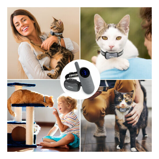 eXuby - Gentle Cat Shock Collar w/Remote & Bell - Designed for Training Cats image {2}
