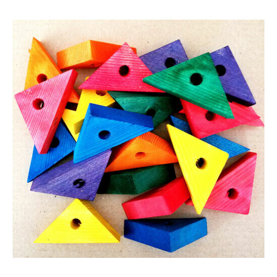 Wooden Wood Colored 24 Triangles Bird Parrot Toy Parts Amazon Cockatoo Macaw image {3}