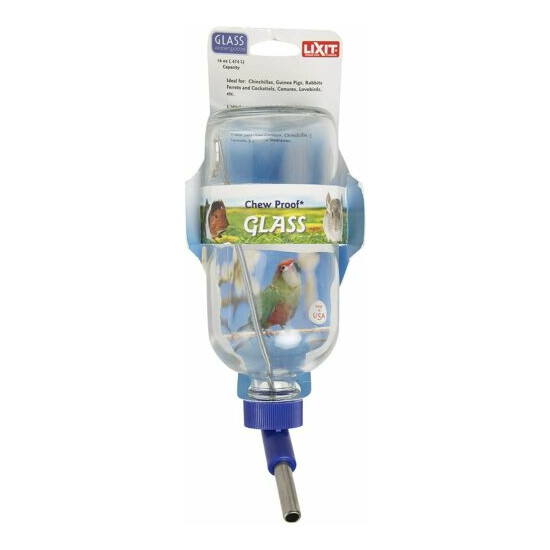 Lixit Parrot Bird Pet Glass Water Bottle 16 oz. Med Tube image {1}