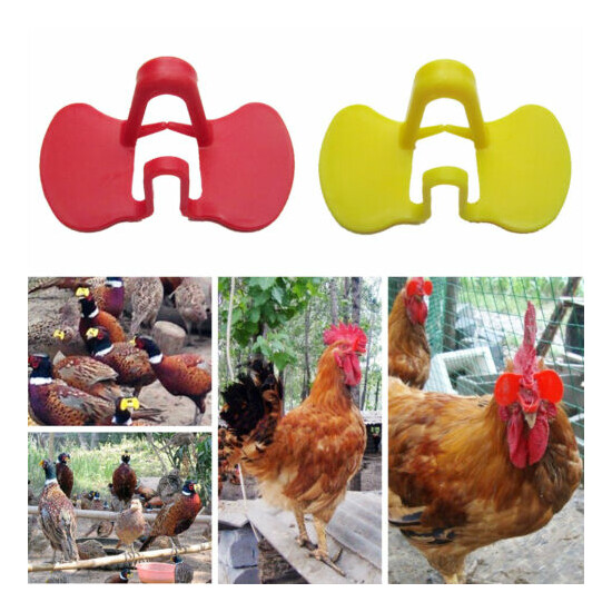 12pc Extra Large Bigger Pinless Peepers Turkey Chicken Fasan Blinders Spectacles image {1}