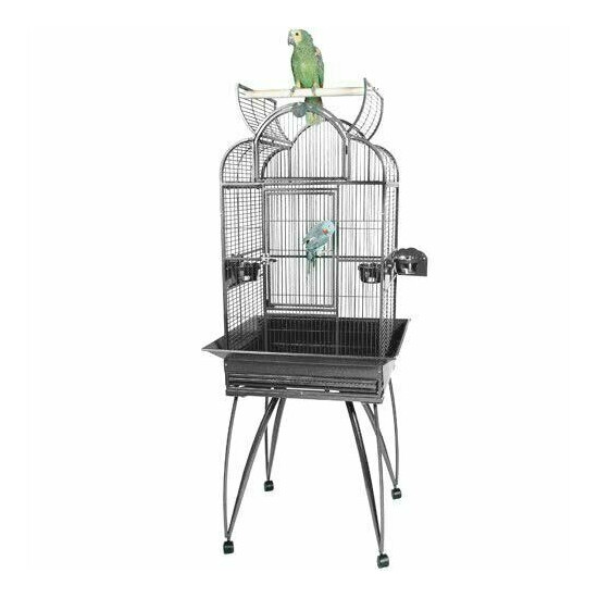 King's Cages SLT4 2217 Small Parrot Bird Cage 22X17X63 Toys Cockatiel Budgies image {4}