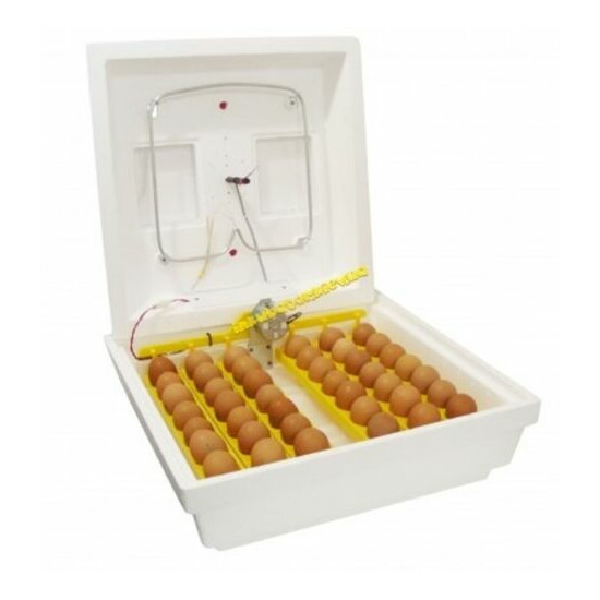 Incubator IBM-30A for 40 eggs automatic turning image {1}