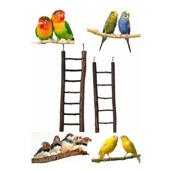 Natural Wooden 5 & 7 Rung Bird Ladder Budgie Canary Finch Lovebirds Cockatiels image {1}