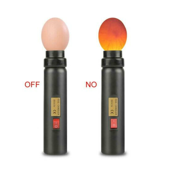 LED Light Incubator Egg Candler Tester For Hatching Eggs Quail Poultry 100-240V image {2}