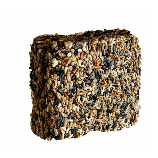 Pennington Seed & Mealworm Treat Cake, Wild Bird Feed, 1.4 lb. image {3}