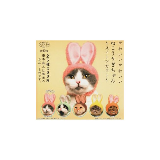 NEW KITAN Club Cute cat and dog Rabbit 5 costumes set from Japan Free Ship image {1}