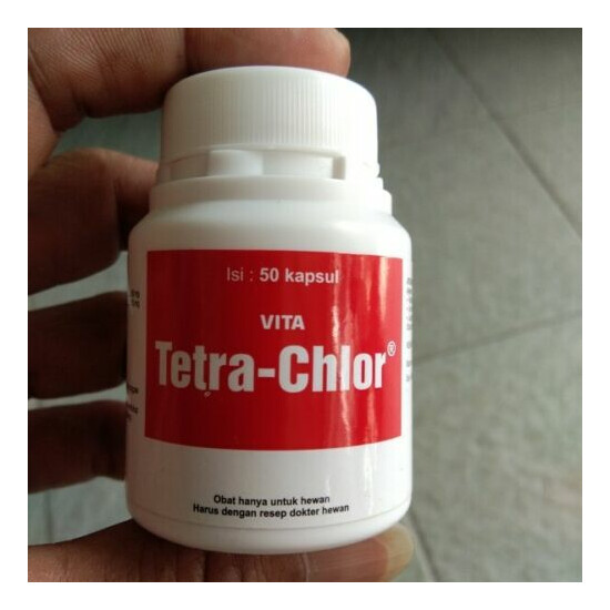 4x @50Caps VITA TETRA-CHLOR VITAMINS / MINERALS FOR CHICKENS/BIRDS/ALL POULTRY image {6}