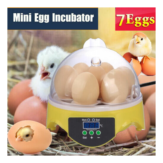 30/24/12//7 Digital Egg Incubator Hatcher Automatic Turning Temperature Control image {3}