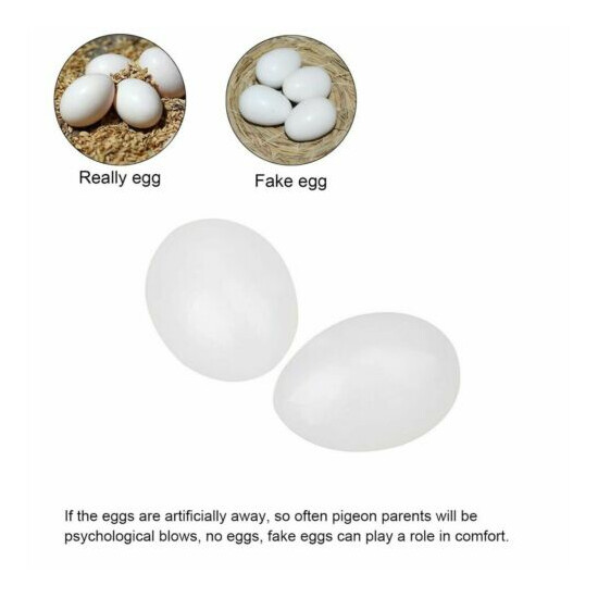 10pcs Solid Plastic Eggs Dummy Eggs For pigeons white color image {1}