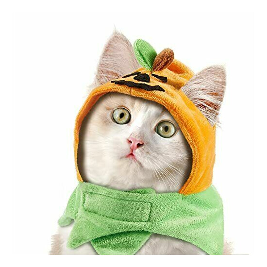 Xuniea 2 Pieces Halloween Pumpkin Cat Hat Adjustable Pumpkin Cat Costumes Cut... image {2}